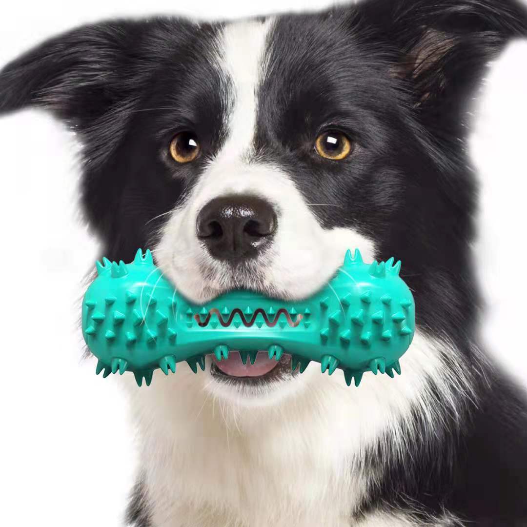 CleanBite Dog Toy