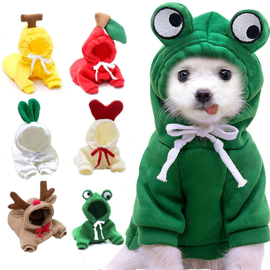 Cozy Fruit Hoodie – Warm Fleece Outfit for Small Dogs & Cats ❤️❤️Triple the Joy – Buy 1, Get 2 Free! 🎁🐾 Limited Time for Your Furry Friend!❤️❤️