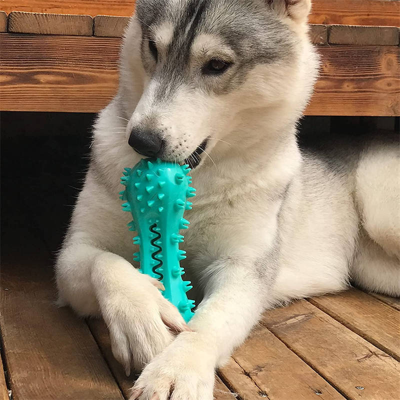 CleanBite Dog Toy